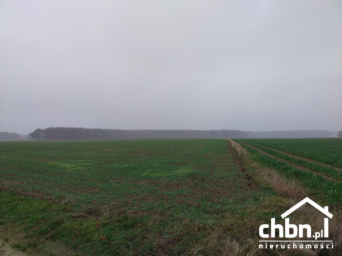 ziemia-rolna-w-okolicach-chojnic-881-ha-52059-dzialki-i-grunty.jpg