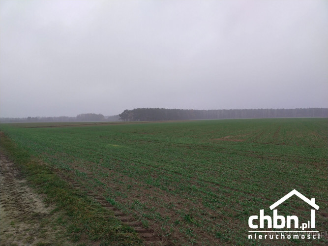 ziemia-rolna-w-okolicach-chojnic-881-ha-52059-gdansk-foto.jpg