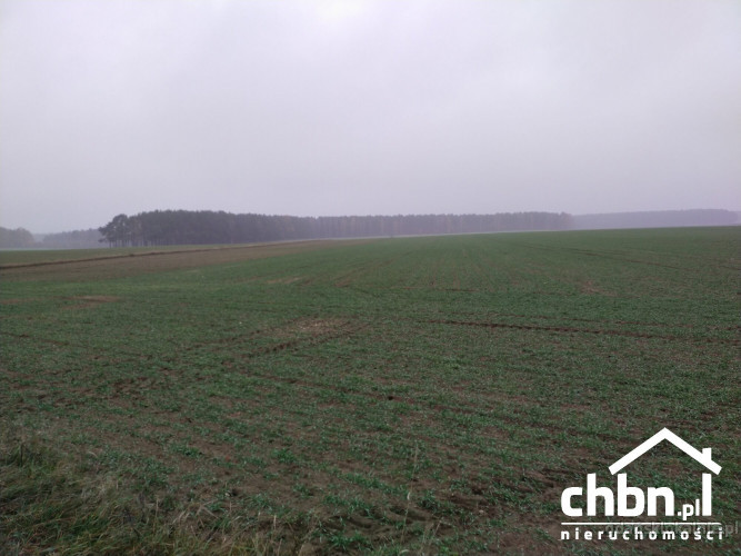 ziemia-rolna-w-okolicach-chojnic-881-ha-52059-gdansk-na-sprzedaz.jpg