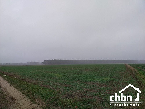 ziemia-rolna-w-okolicach-chojnic-881-ha-52059-gdansk.jpg