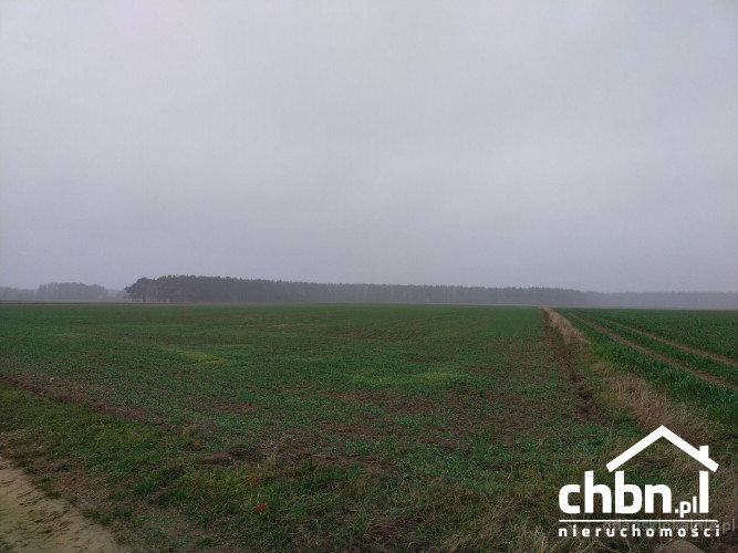 ziemia-rolna-w-okolicach-chojnic-881-ha-52059-sprzedam.jpg