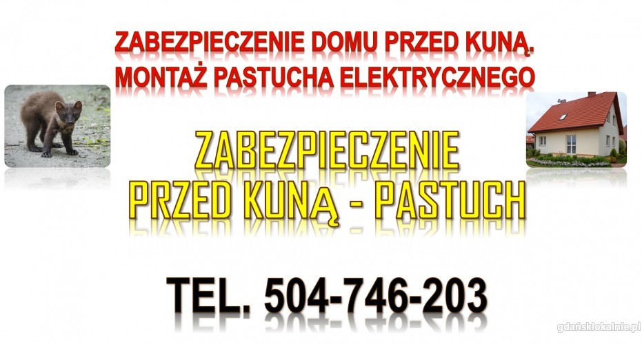 2_jaka_cena_za_pastuch_elektryczny_na_kuny.jpg